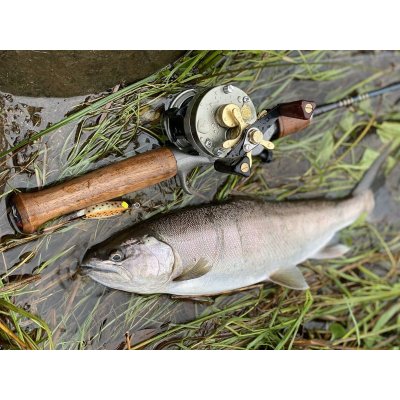 画像7: ★2025 WESSEX ・ERGエルゴノグリップ★