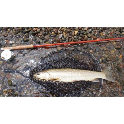 画像3: ★セミオーダーメイド・只今80日前後★高強度ブラックキャンバスマイカルタハンドルのスプリングネット★ネット部分別売になります