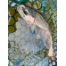 画像3: 〈交換用〉カラーラバーネット・シャローワイド（37〜40ｃｍ）