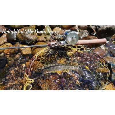 画像7: ★少量のみ在庫分確保しました★WESSEX・Delightful50C Ultra, Delightful50c Slow★