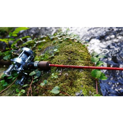 画像4: ★少量のみ在庫分確保しました★WESSEX・Delightful50C Ultra, Delightful50c Slow★