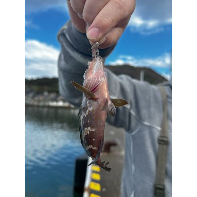 画像6: ★ヨコエビジグ（2個入）フライ・ルアー共用出来ます★