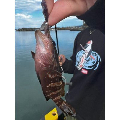 画像3: ★ヨコエビジグ（2個入）フライ・ルアー共用出来ます★