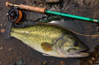 フライフィッシングタックル - Sports Fishing Tools かねは商店