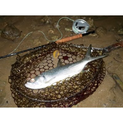 画像9: ★NEW!!受注生産★ Ti + Plus ランディングネット・M、Lサイズ★ネット部分は別売です★