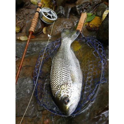 画像8: ★NEW!!受注生産★ Ti + Plus ランディングネット・M、Lサイズ★ネット部分は別売です★