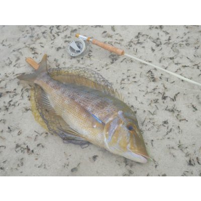 画像6: ★NEW!!受注生産★ Ti + Plus ランディングネット・M、Lサイズ★ネット部分は別売です★