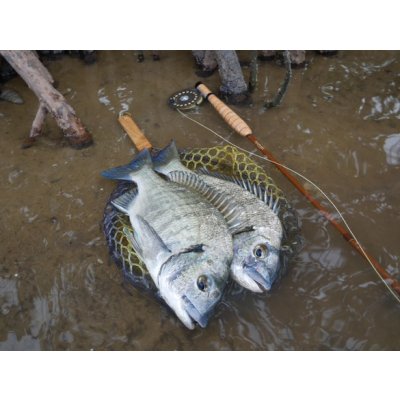 画像7: ★NEW!!受注生産★ Ti + Plus ランディングネット・M、Lサイズ★ネット部分は別売です★