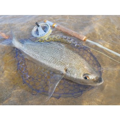 画像11: ★NEW!!受注生産★ Ti + Plus ランディングネット・M、Lサイズ★ネット部分は別売です★