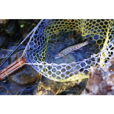 画像6: ★NEW!!受注生産★ Ti + Plus ランディングネット・PEIハンドル・βチタンフレーム★ネット部分は別売です★