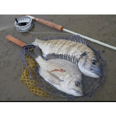 画像13: ★NEW!!受注生産★ Ti + Plus ランディングネット・M、Lサイズ★ネット部分は別売です★