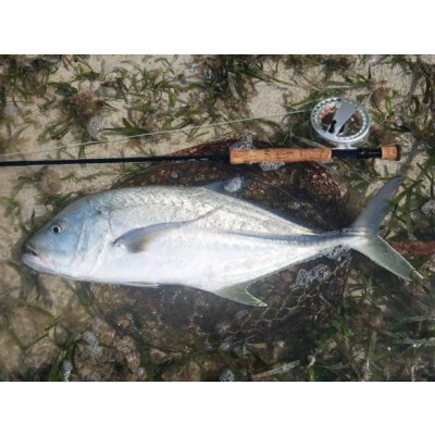 画像14: ★NEW!!受注生産★ Ti + Plus ランディングネット・M、Lサイズ★ネット部分は別売です★