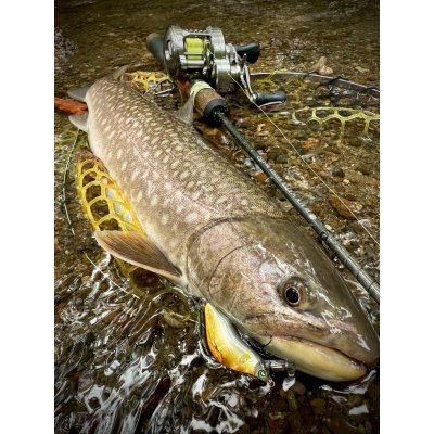 画像5: ★NEW!!受注生産★ Ti + Plus ランディングネット・M、Lサイズ★ネット部分は別売です★