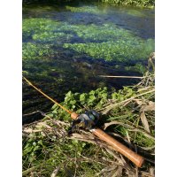 ★12月12日20時より・発売予告ページ・WESSEX 10周年記念スタッグモデル・ WSE-C/52★