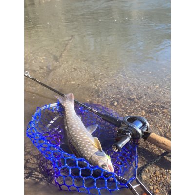 画像3: ★ベータチタンフレーム付き35ｃｍラバーネット★