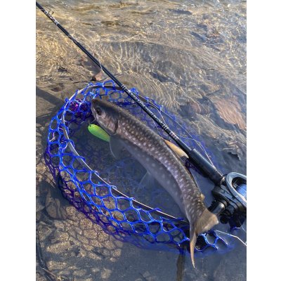 画像2: ★ベータチタンフレーム付き35ｃｍラバーネット★