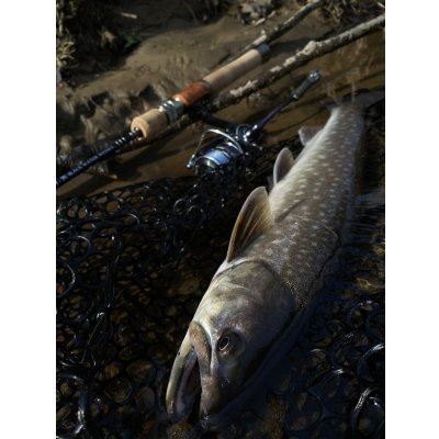 画像2: ★入荷しました・WESSEX BLACK WATER BW-S/60★