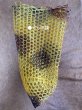 画像10: ★対象魚75ｃｍ★〈交換用〉カラーラバーネット・15インチ（深型45/45） (10)