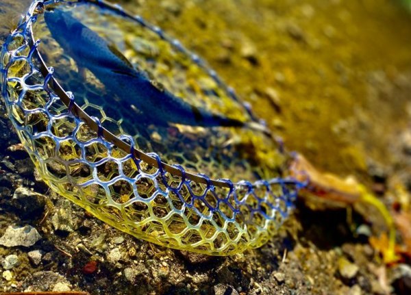 画像3: ★オーダー受付再開★セミオーダーメイド・只今70日前後★スプリングネット尺・ショートカーブハンドル★ (3)