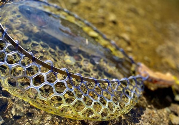 画像4: ★オーダー受付再開★セミオーダーメイド・只今70日前後★スプリングネット尺・ショートカーブハンドル★ (4)