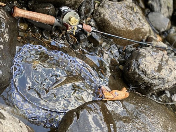 画像10: ★2025 WESSEX ・ERGエルゴノグリップ★ (10)