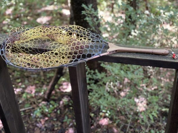 画像2: ※オーダー受付再開※★セミオーダーメイド・只今80日前後★NEW! スプリングネット15インチラージサイズフレーム+スタビライズドウッド・スキニーロングハンドル★ネットは別売です★ (2)