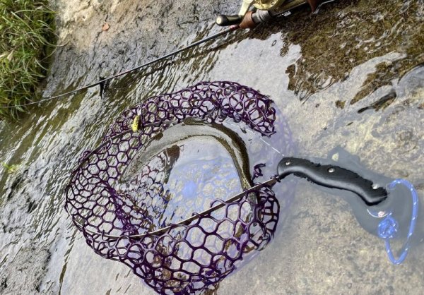 画像4: ★ご予約商品（納期約80日）★WESSEXカスタムキーバック★ (4)