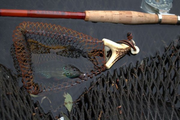 画像7: ★ご予約商品・50日前後★WESSEXテレスコピックSグラスフライロッド★ (7)