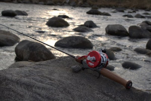 画像3: ★2025 WESSEX ・ERGエルゴノグリップ★ (3)