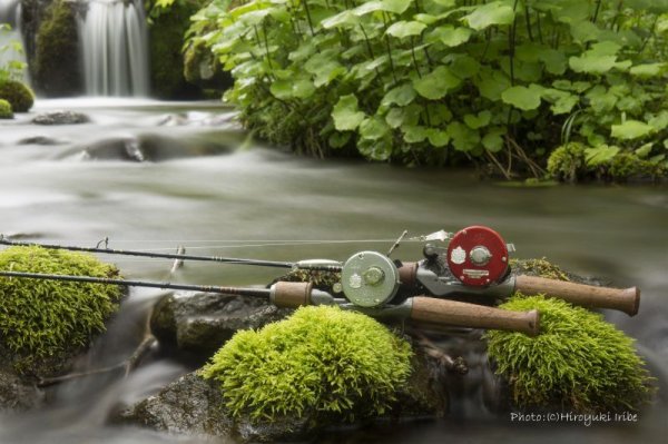 画像2: ★2025 WESSEX ・ERGエルゴノグリップ★ (2)