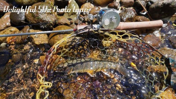 画像7: ★少量のみ在庫分確保しました★WESSEX・Delightful50C Ultra, Delightful50c Slow★ (7)