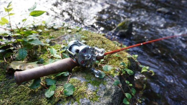 画像5: ★少量のみ在庫分確保しました★WESSEX・Delightful50C Ultra, Delightful50c Slow★ (5)