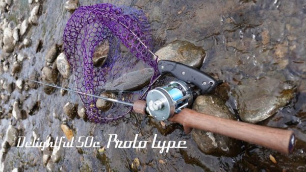 画像8: ★少量のみ在庫分確保しました★WESSEX・Delightful50C Ultra, Delightful50c Slow★ (8)