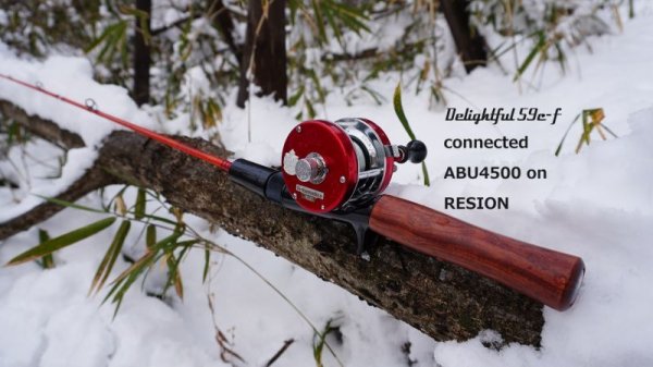 画像3: ★WESSEX Delightful 59c-f★ (3)