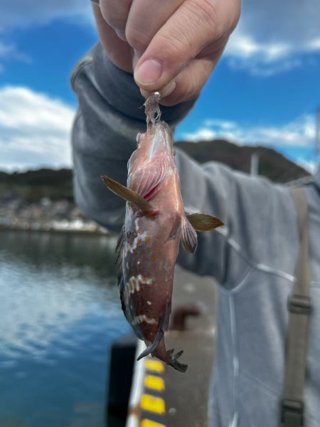 画像6: ★ヨコエビジグ（2個入）フライ・ルアー共用出来ます★ (6)