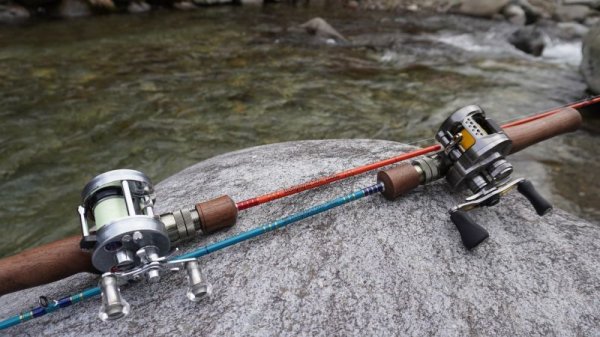 画像9: ★少量のみ在庫分確保しました★WESSEX・Delightful50C Ultra, Delightful50c Slow★ (9)