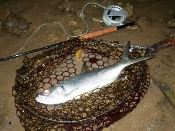 画像9: ★NEW!!受注生産★ Ti + Plus ランディングネット・M、Lサイズ★ネット部分は別売です★ (9)