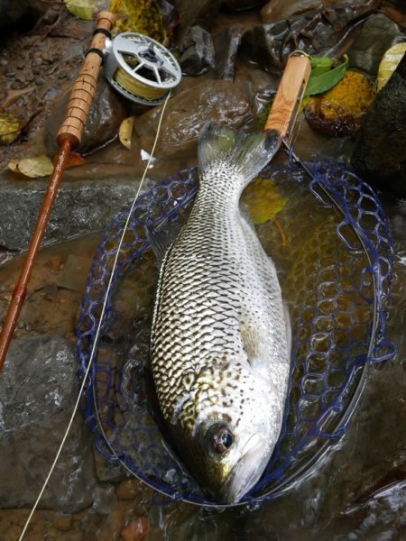 画像8: ★NEW!!受注生産★ Ti + Plus ランディングネット・M、Lサイズ★ネット部分は別売です★ (8)