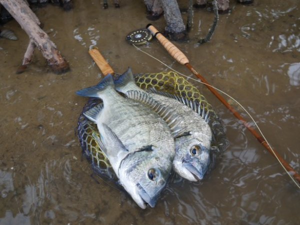 画像7: ★NEW!!受注生産★ Ti + Plus ランディングネット・M、Lサイズ★ネット部分は別売です★ (7)