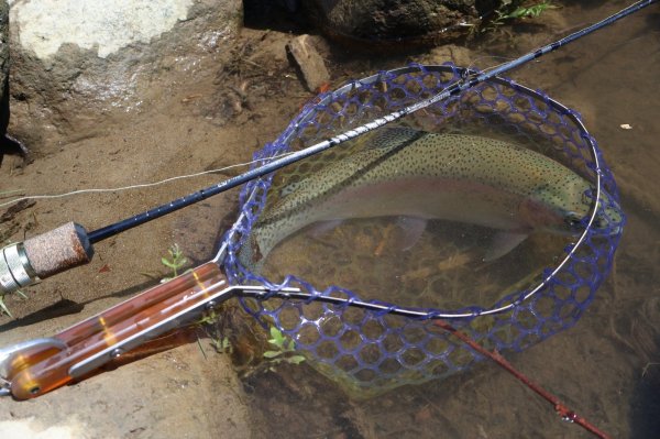 画像5: ★NEW!!受注生産★ Ti + Plus ランディングネット・PEIハンドル・βチタンフレーム★ネット部分は別売です★ (5)