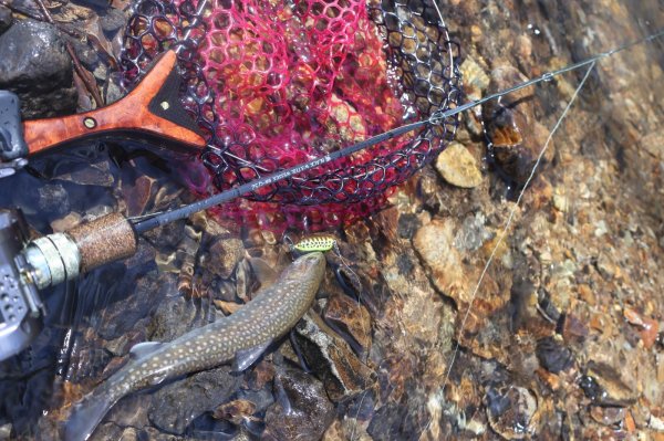 画像3: ★ストリームチューン！Heddonティニートーピード・ウェイテッドシングルフック仕様★ (3)