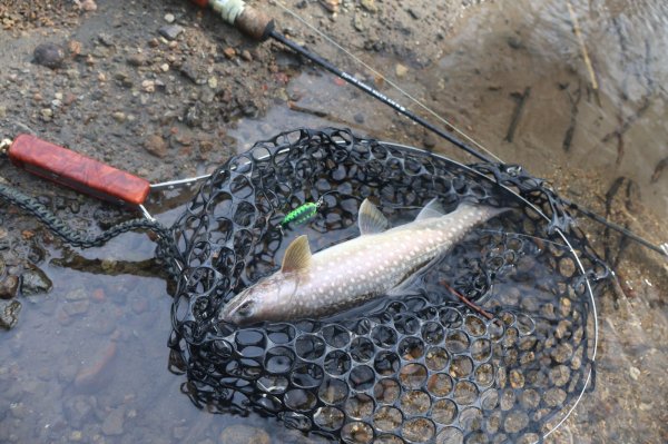 画像5: ★NEW!!受注生産★ Ti + Plus ランディングネット・βチタンフレーム★ネット部分は別売です★ (5)