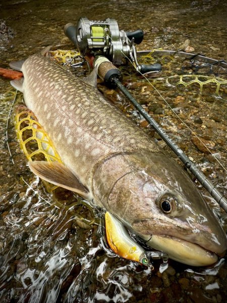 画像5: ★NEW!!受注生産★ Ti + Plus ランディングネット・M、Lサイズ★ネット部分は別売です★ (5)