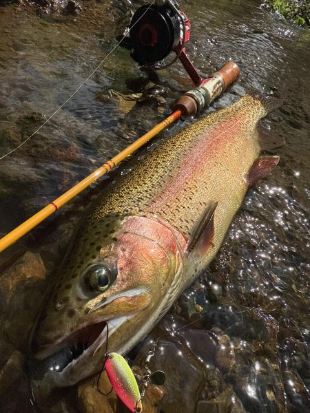 画像2: ★発売告知・WESSEXトラウトロッド10周年記念スタッグモデル・WSE-S/45★ (2)