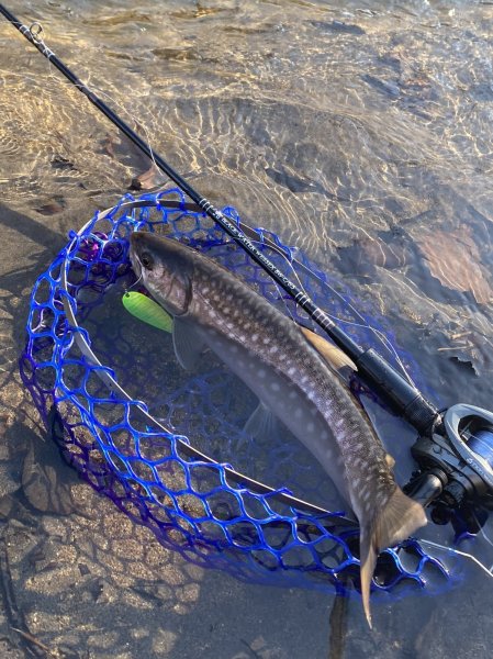 画像2: ★ベータチタンフレーム付き35ｃｍラバーネット★ (2)