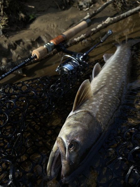 画像2: ★入荷しました・WESSEX BLACK WATER BW-S/60★ (2)